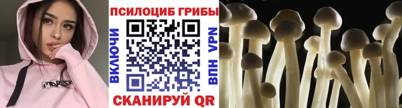 Псилоцибиновые грибы прущие грибы  Купить где  Грязовец 