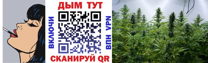 Бошки Шишки марихуана  Купить закладки  Грязовец 